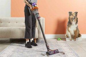 Most vacuums for pet hair come with attachments for cleaning specific areas